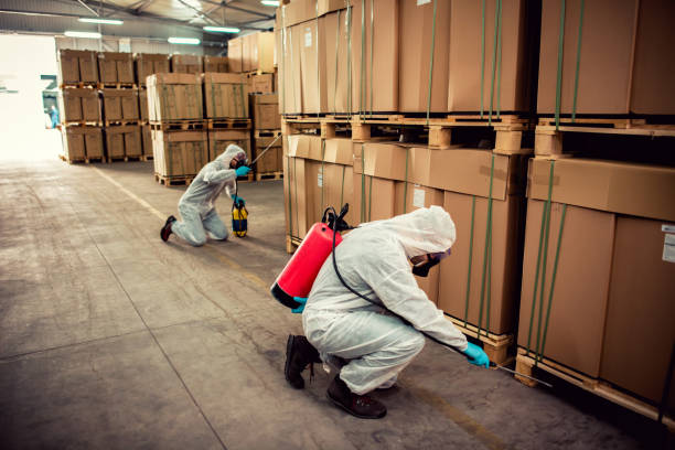 Best Residential Pest Control  in Monticello, NY