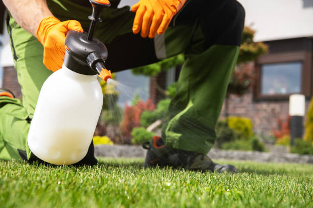 Best Residential Pest Control  in Monticello, NY