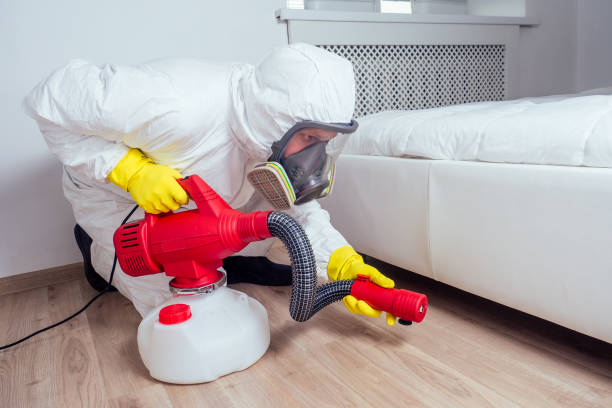Best Rat Extermination Near Me  in Monticello, NY
