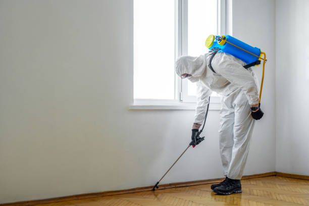 Best Pest Control Treatment  in Monticello, NY