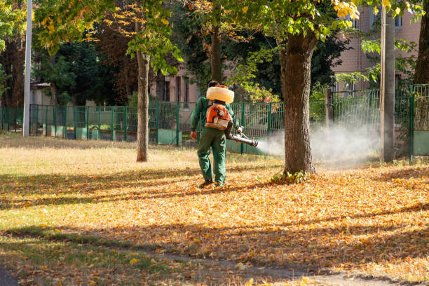 Best Wasp Removal Services  in Monticello, NY