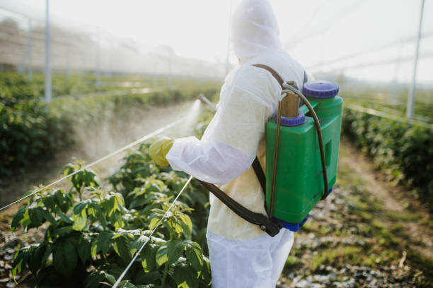 Best Pest Removal Services  in Monticello, NY